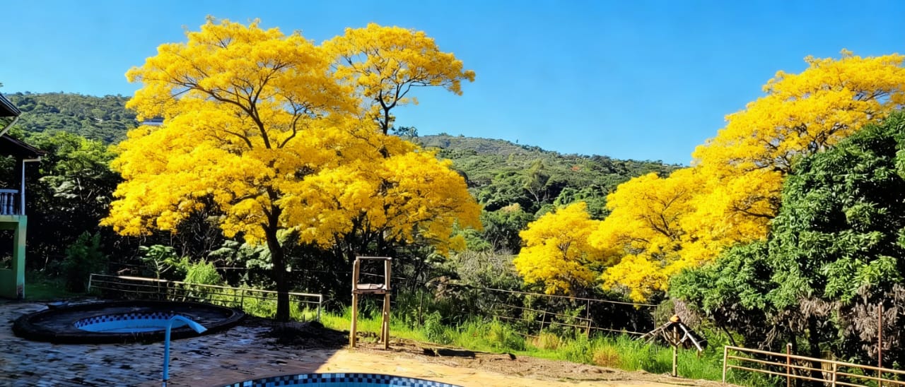 Foto 12 — Belo Horizonte